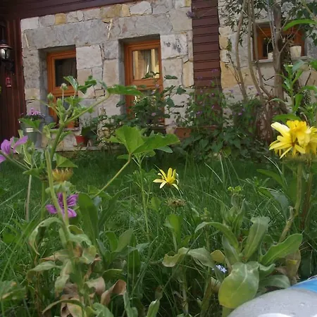 Bed & Breakfast Lapeistra *