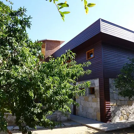 Lapeistra Gure