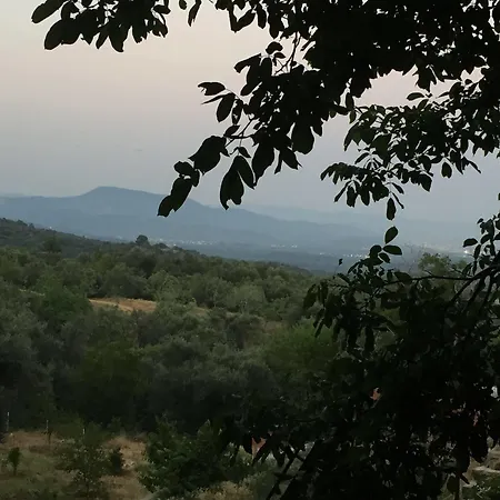 Bed & Breakfast Lapeistra Gure